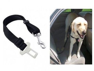 Bezpečnostný pás pre psa